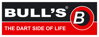 Logo Bulls