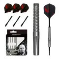 Cosmo Darts šípky Darius Labanauskas V2 soft 19g