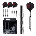 Cosmo Darts šípky Dustin Holt soft 20g
