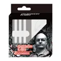 Cosmo Darts šípky Mickey Mansell soft 20g