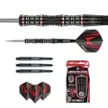 Winmau šípky Mervyn King SE steel 20g