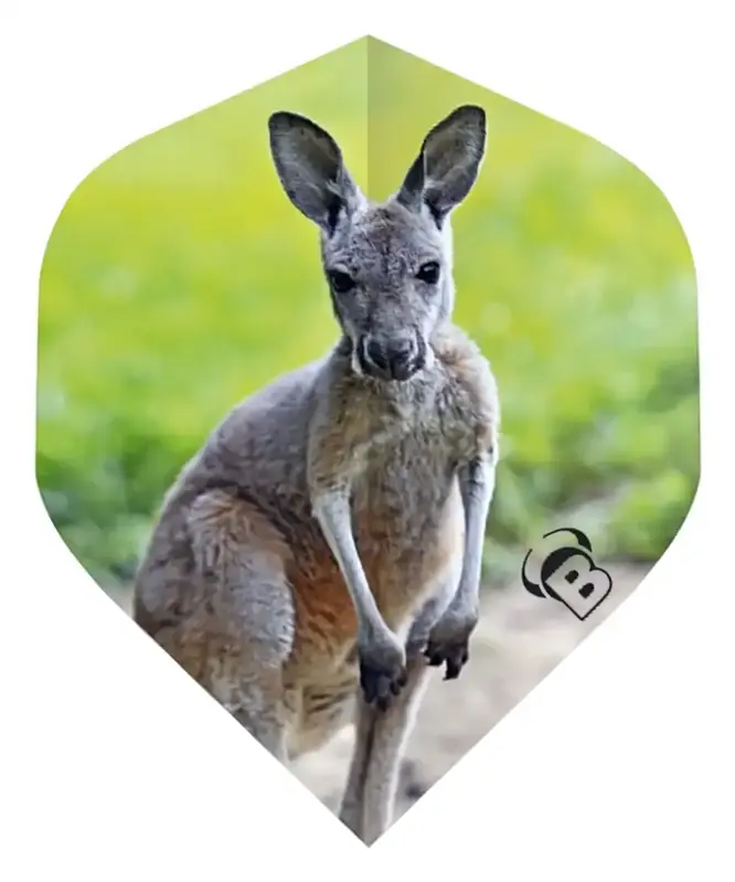 Bulls letky Motex Kangaroo No.2